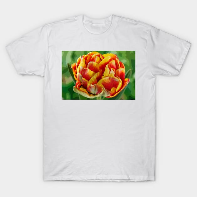 Tulipa  &#39;Cilesta&#39;    Double Early Group  Tulip   Artistic filter applied to photo T-Shirt by chrisburrows